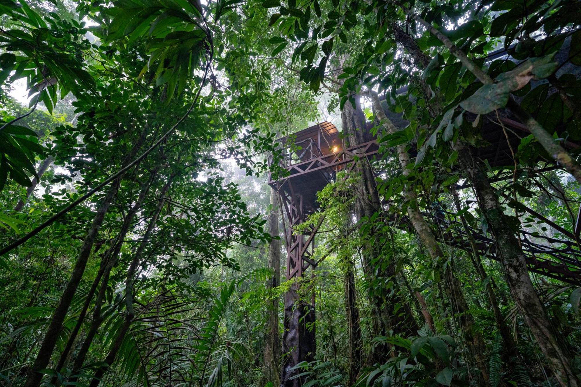 Maquenque Ecolodge Boca Tapada Luaran gambar