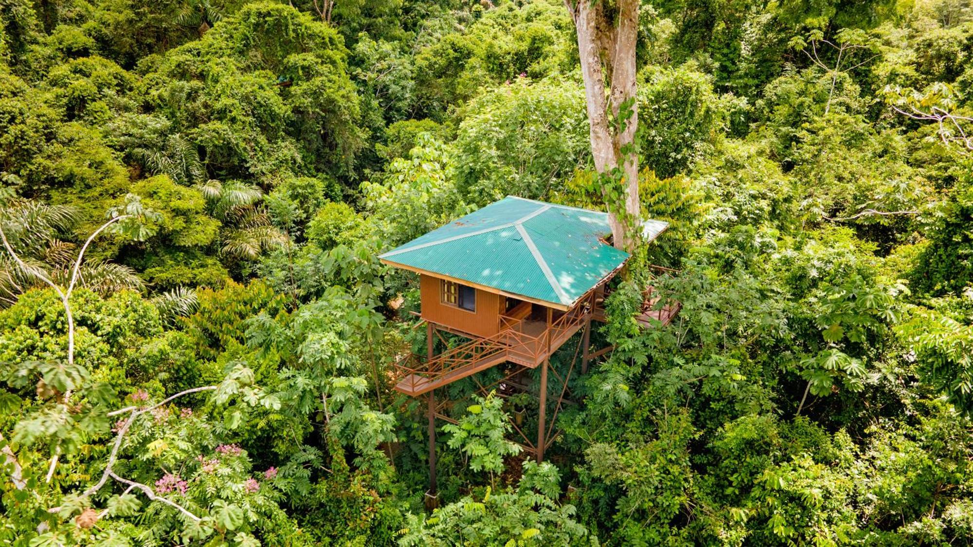 Maquenque Ecolodge Boca Tapada Luaran gambar