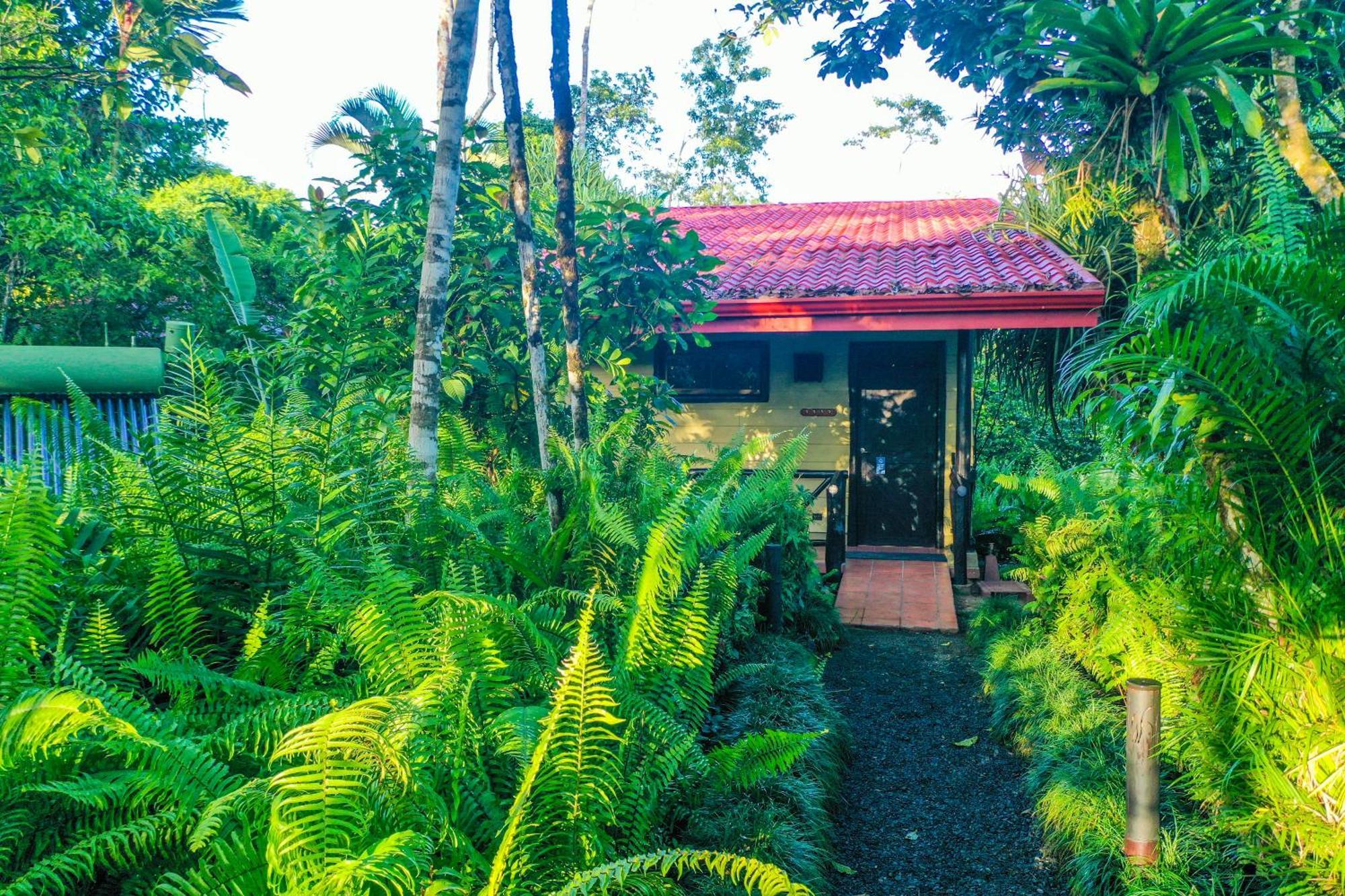 Maquenque Ecolodge Boca Tapada Bilik gambar
