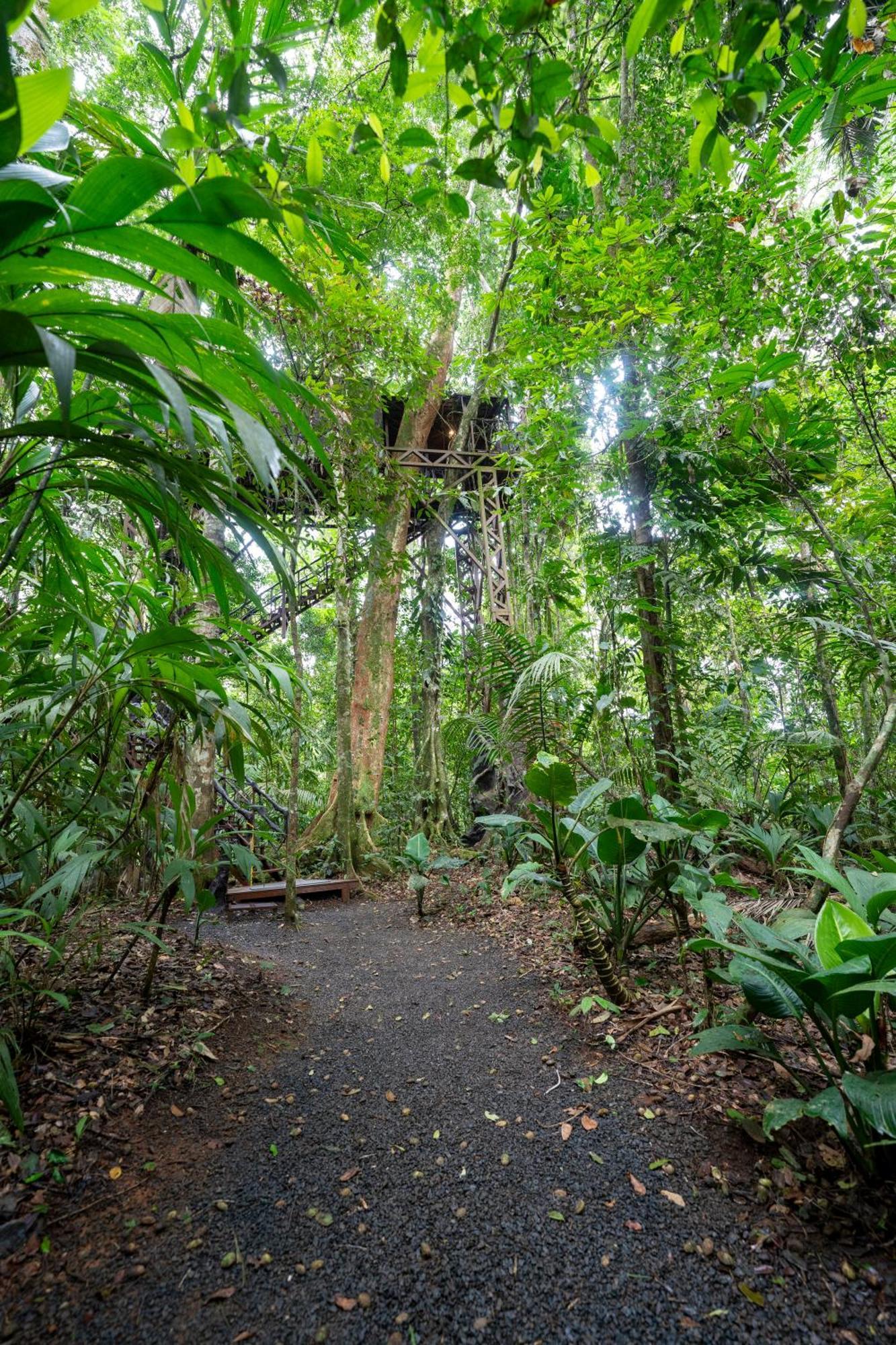 Maquenque Ecolodge Boca Tapada Luaran gambar